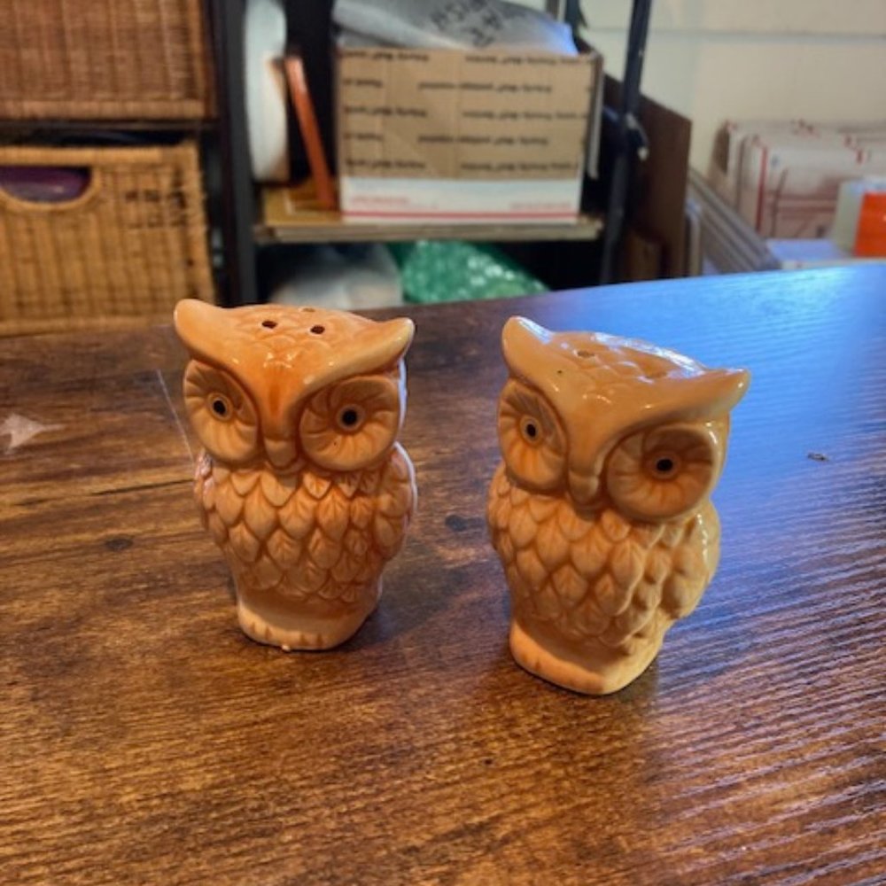 Owl salt and pepper shakers